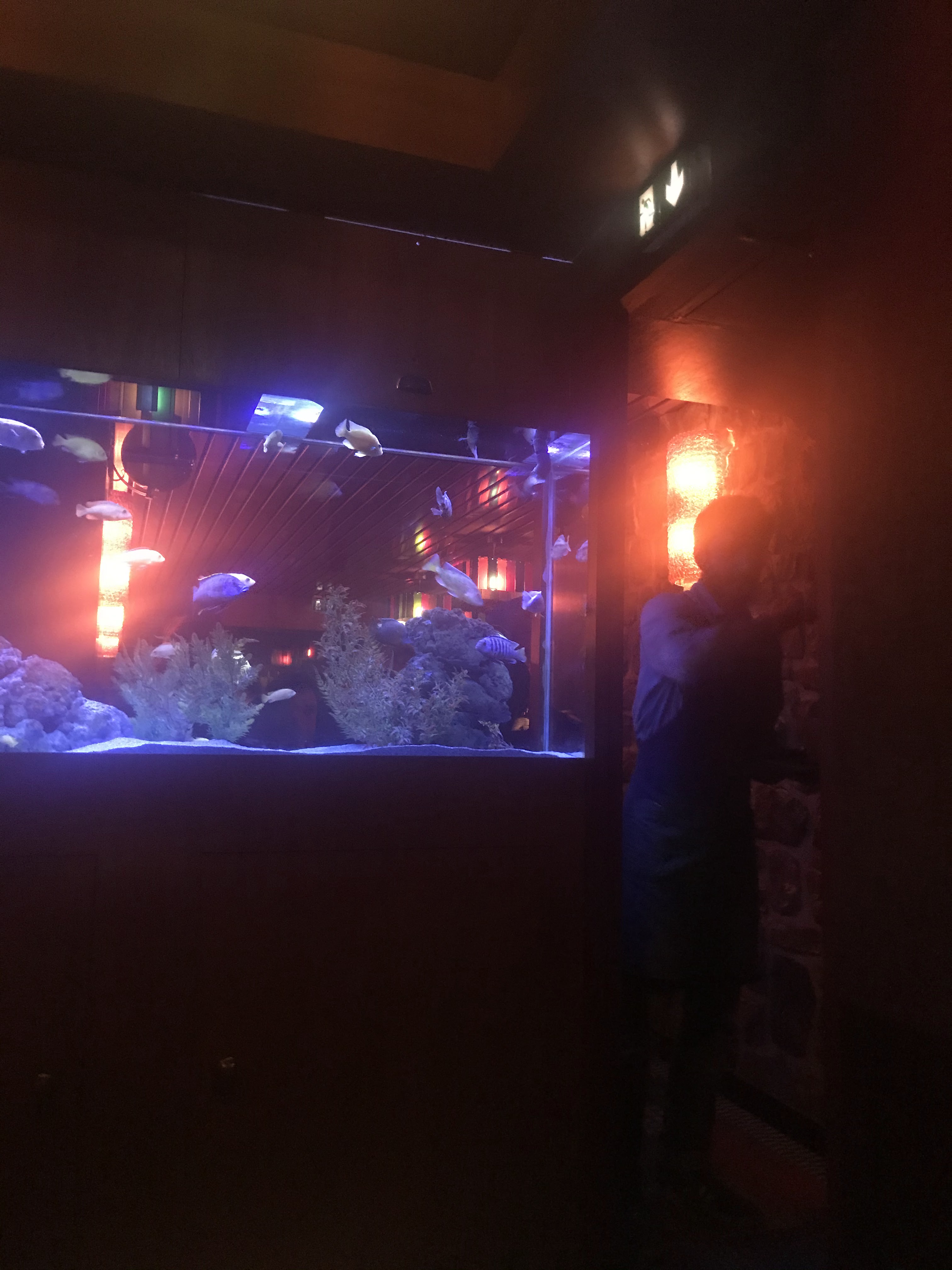 Photo n° 2 de l'avis de Elias.h fait le 10/11/2019 à 19:48
