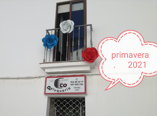 Eco Peluquería en Azuaga, Badajoz