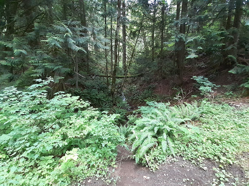 Golf Club «Snoqualmie Falls Golf Course», reviews and photos, 35109 SE Fish Hatchery Rd, Fall City, WA 98024, USA