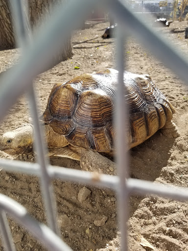 Zoo «Sierra Safari Zoo», reviews and photos, 10200 N Virginia St, Reno, NV 89506, USA