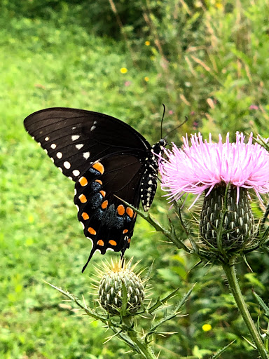 Nature Preserve «Rancocas Nature Center», reviews and photos, 794 Rancocas Mt Holly Rd, Westampton, NJ 08060, USA