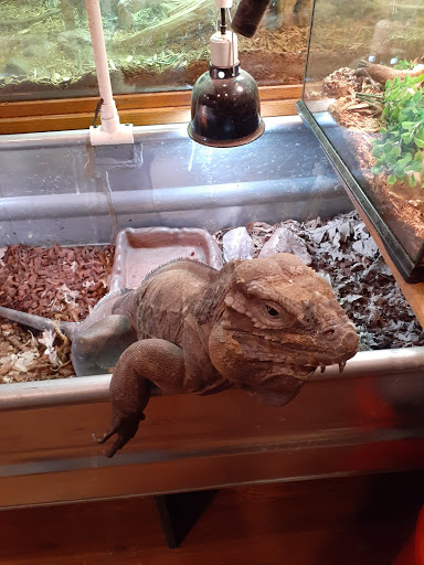 Reptile Store «Pets & Things», reviews and photos, 44825 Van Dyke, Utica, MI 48317, USA