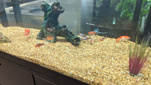 Pet Supply Store «Petco Animal Supplies», reviews and photos, 11639 S Pkwy Plaza Dr, South Jordan, UT 84095, USA