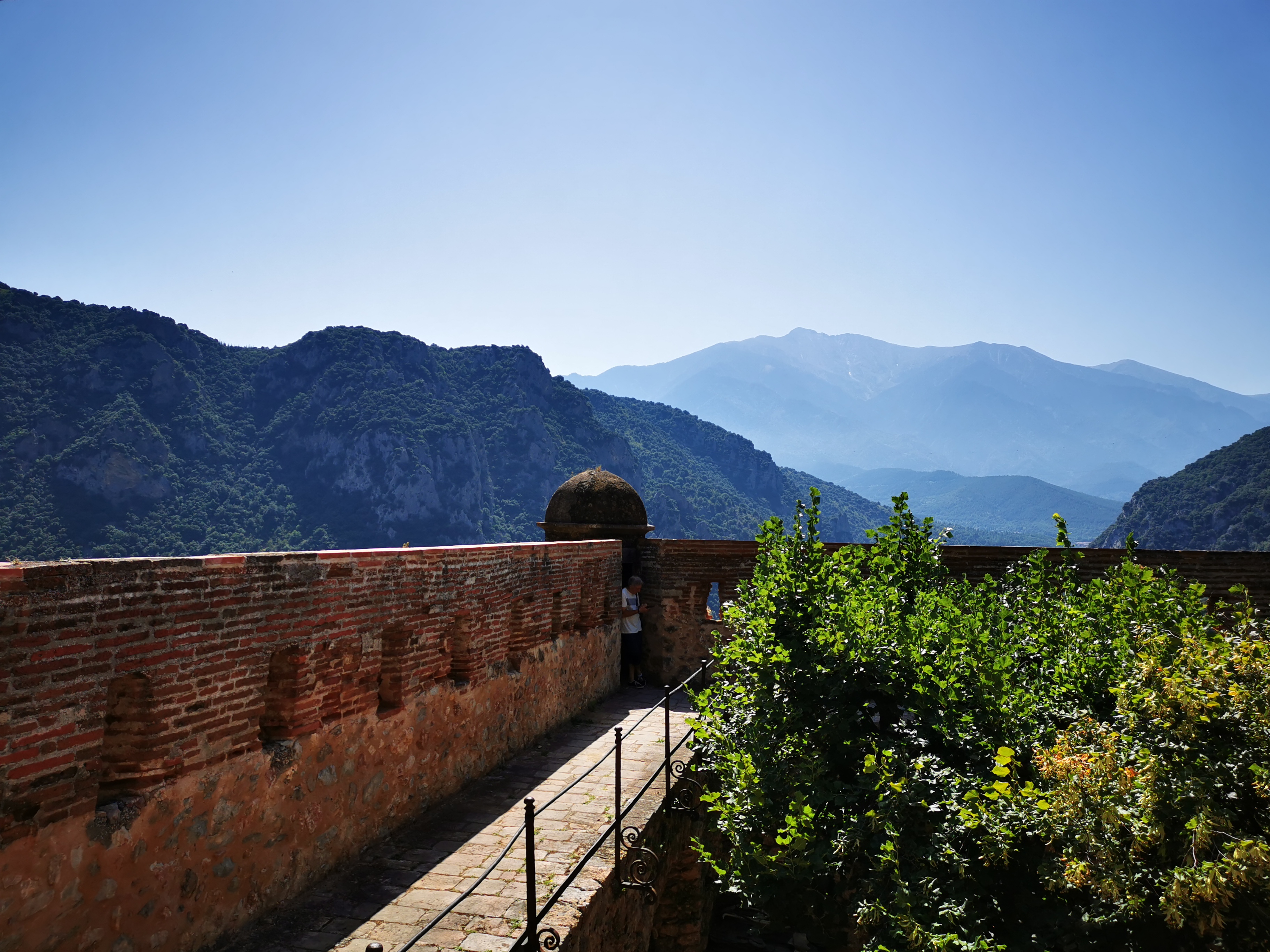 Photo n° 26 de l'avis de Joff_82. fait le 15/08/2020 à 10:46