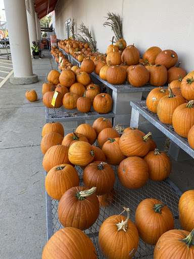 Home Improvement Store «The Home Depot», reviews and photos, 1601 13th Ave E, Tuscaloosa, AL 35404, USA