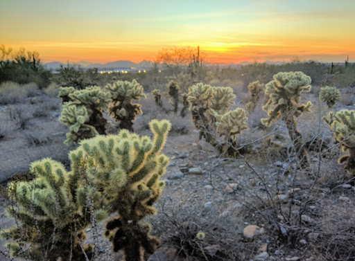 Nature Preserve «Gateway Trailhead - McDowell Sonoran Preserve», reviews and photos, 18333 N Thompson Peak Pkwy, Scottsdale, AZ 85255, USA