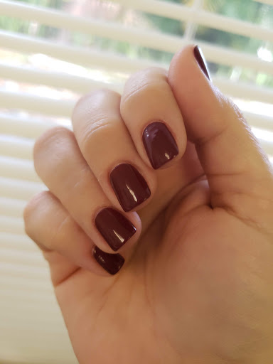 Nail Salon «Venetian Nail Spa», reviews and photos, 2868 N University Dr, Coral Springs, FL 33065, USA