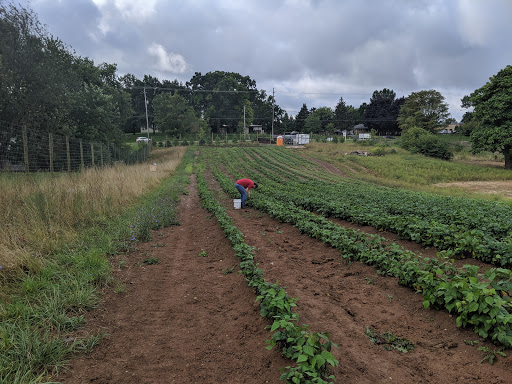 Non-Profit Organization «Kids Food Basket», reviews and photos