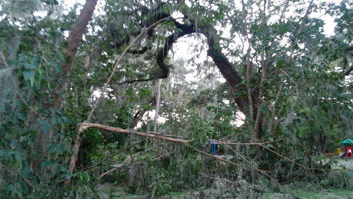 Park «Davis Park», reviews and photos, 612 N Parsons Ave, Brandon, FL 33510, USA