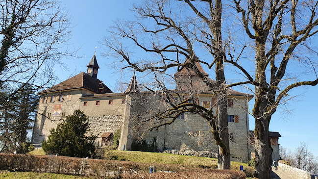 Schloss Kyburg - Museum