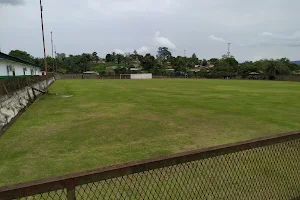 Stade Henri Sylvoz image