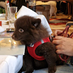 Photo n°1 de l'avis de Eva-Maria.o fait le 18/12/2023 à 16:10 sur le  Gimken Landhaushotel à Essen