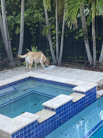 Life On Paws Pet Boarding - Photo 4 - Car repair in North Miami, FL, Miami