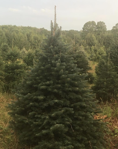 Miller Tree Farm