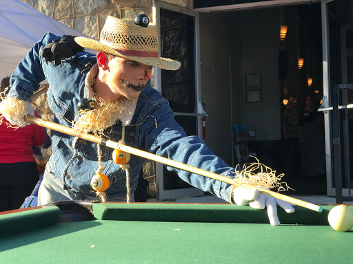 Billiards Supply Store «Southern Billiards, Inc.», reviews and photos, 4610 Atlanta Hwy, Loganville, GA 30052, USA