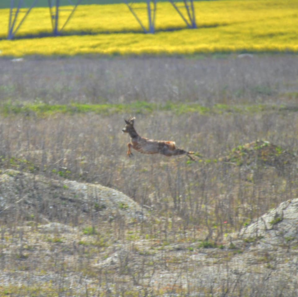 Photo n° 3 de l'avis de Noé.e fait le 04/02/2023 à 18:29