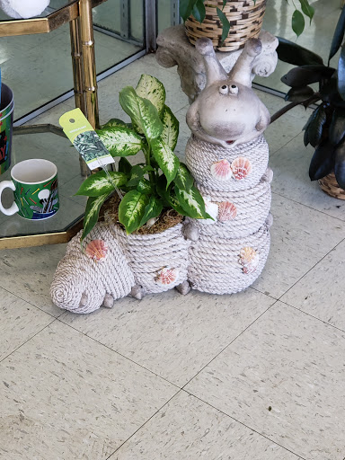 Florist «Cittis Florist», reviews and photos, 3100 Stevens Creek Blvd, San Jose, CA 95117, USA