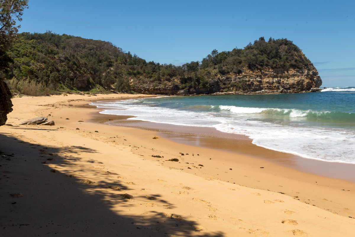 Photo de Maitland Bay Beach situé dans une zone naturelle