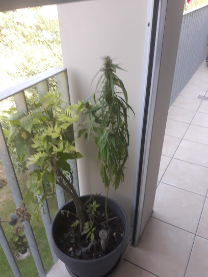 Quadro Küchen