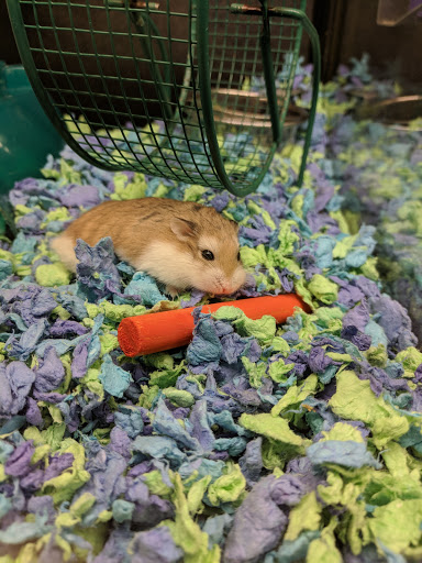 Pet Supply Store «PetSmart», reviews and photos, 2741 El Camino Real, Tustin, CA 92782, USA