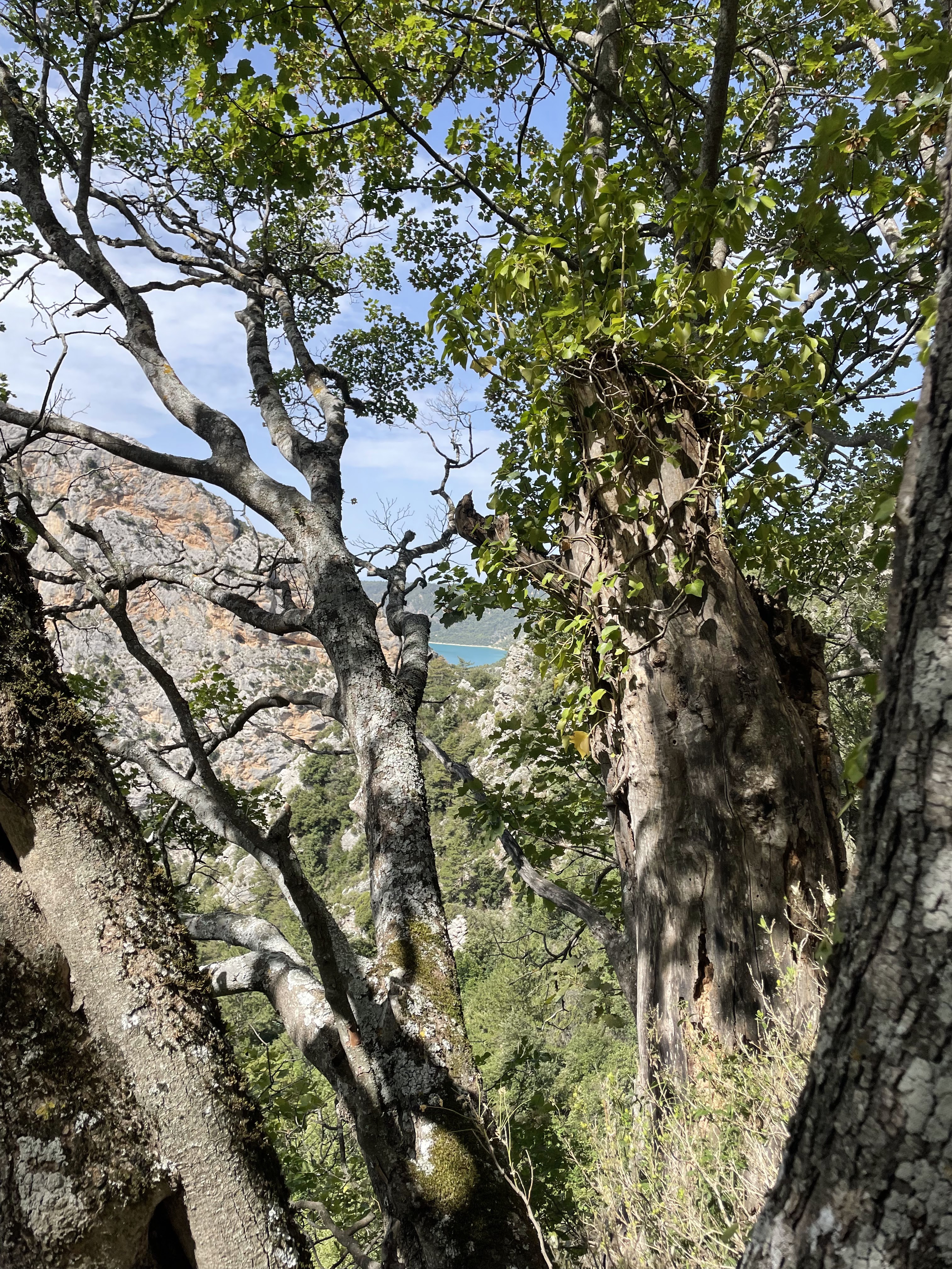 Photo n° 4 de l'avis de Delphine. fait le 18/08/2023 à 07:20