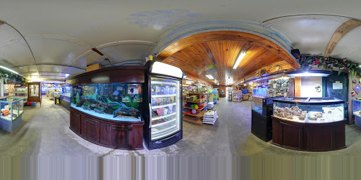 Pet Supply Store «Pet Creations», reviews and photos, 11819 Main St N, Jacksonville, FL 32218, USA