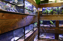 Clarksville Reef & Reptiles - Photo 4 - Car repair in Clarksville, TN, Clarksville