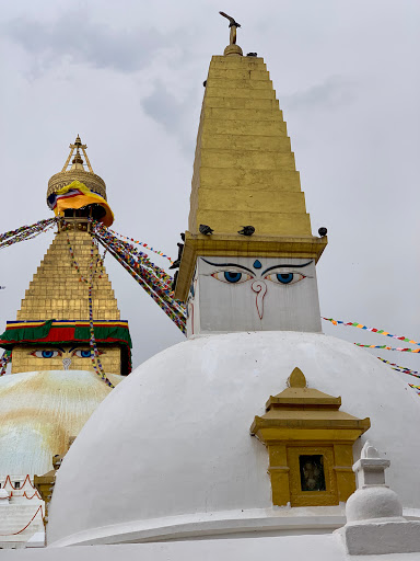 Travel Agency «BNT Travel Group», reviews and photos, 703 Brighton Beach Ave, Brooklyn, NY 11235, USA