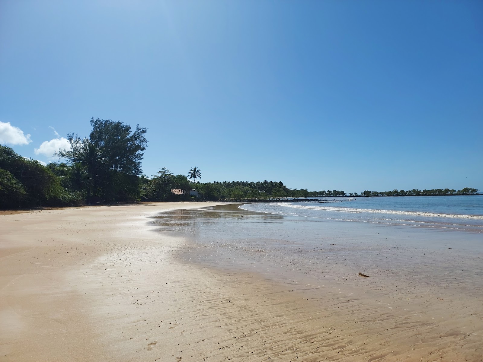 Fotografija Biološka plaža z svetel pesek površino