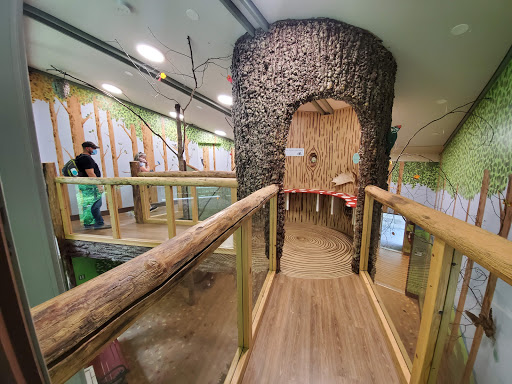 Environmental Organization «VINS Nature Center», reviews and photos, 6565 Woodstock Rd, Quechee, VT 05059, USA