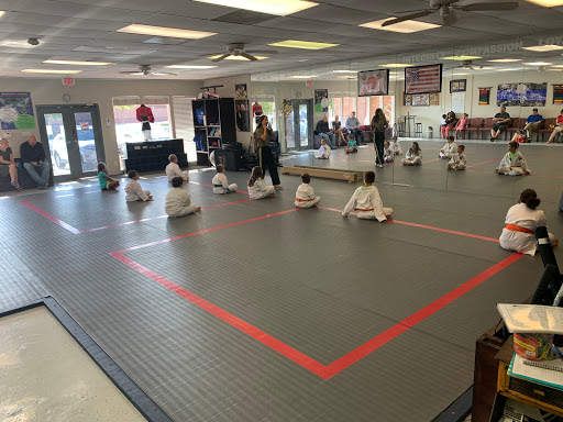 Taekwondo classes in Dallas