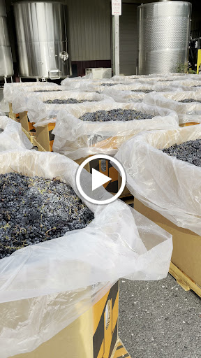 Winery «Valenzano Family Winery», reviews and photos, 1090 U.S. 206, Shamong, NJ 08088, USA