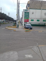 Grifo Kalin
