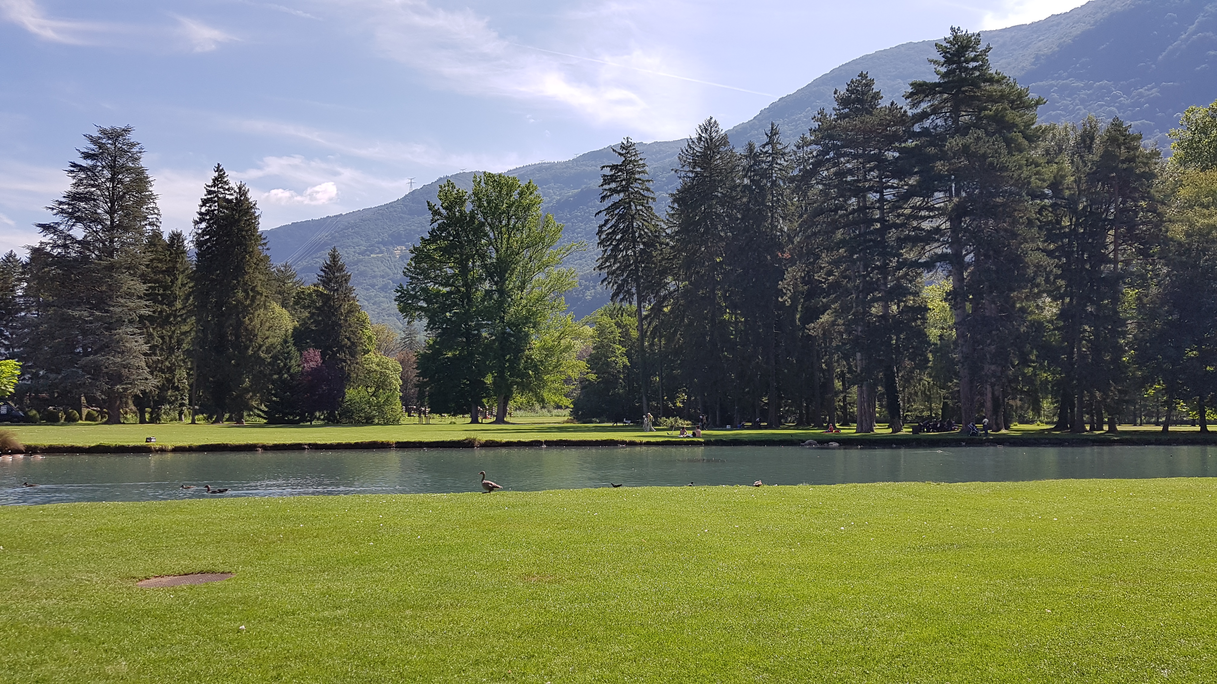 Photo n° 20 de l'avis de Jean-Louis. fait le 13/08/2019 à 17:10