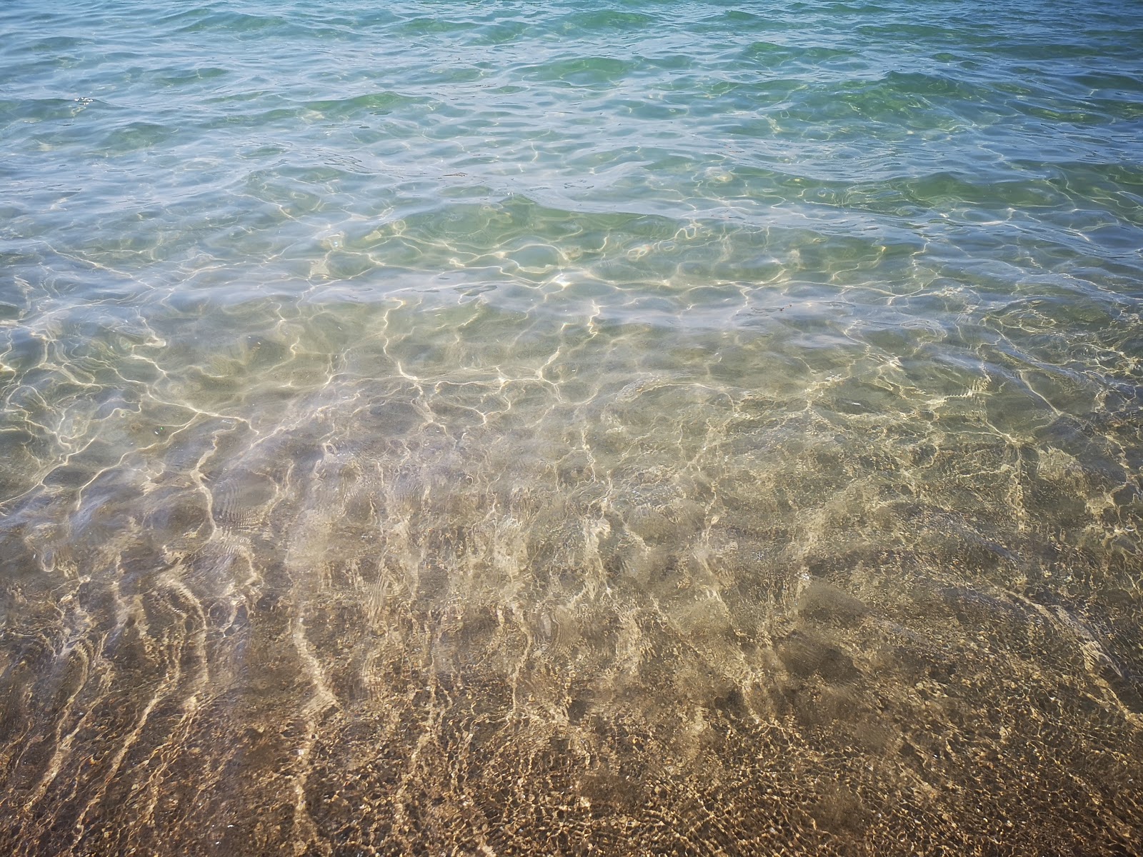 Zdjęcie Tor San Lorenzo beach - dobre miejsce przyjazne zwierzętom domowym na wakacje