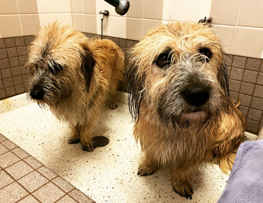 Pet Supply Store «Pet Food Express», reviews and photos, 1315 Linda Mar Shopping Center, Pacifica, CA 94044, USA