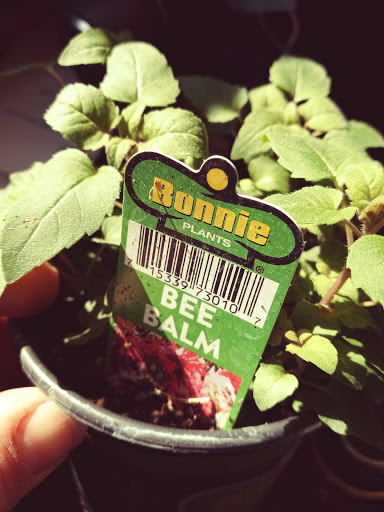 Home Improvement Store «The Home Depot», reviews and photos, 2425 E Springs Dr, Madison, WI 53704, USA