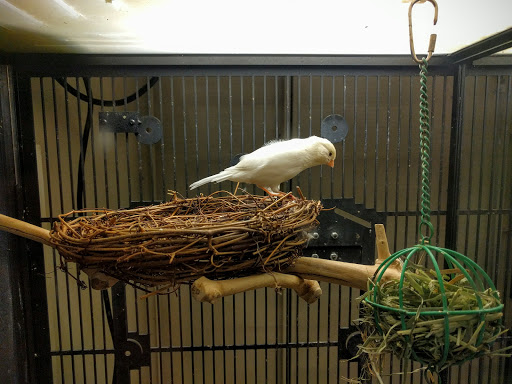 Pet Supply Store «PetSmart», reviews and photos, 3610 Rosecrans St, San Diego, CA 92110, USA