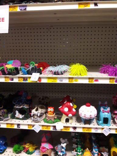 Pet Supply Store «PetSmart», reviews and photos, 2920 Little Rd, Trinity, FL 34655, USA