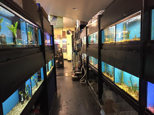 Pet Supply Store «City Pets & Ponds», reviews and photos, 4029 Mill St, Kansas City, MO 64111, USA