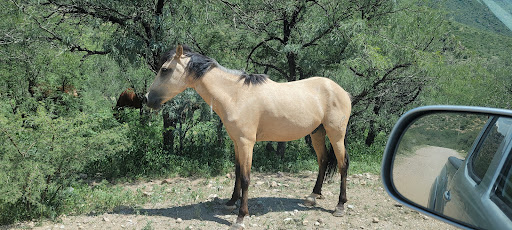 Pet Supply Store «Unleashed by Petco», reviews and photos, 2643 Tapo Canyon Rd c, Simi Valley, CA 93063, USA