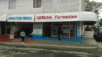 Farmacias Genesis, , Ejido San Pablo Tecalco