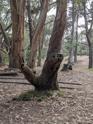 Disc Golf Course «Golden Gate Park Disc Golf Course», reviews and photos, 99 Marx Meadow Dr, San Francisco, CA 94121, USA