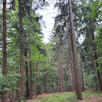 Photo n°7 de l'avis de Toni.2 fait le 13/10/2021 à 13:45 sur le  Waldgasthof Schiederhof à Wiesenfelden