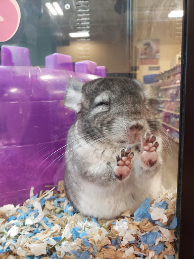 Pet Supply Store «PetSmart», reviews and photos, 7663 Arundel Mills Blvd, Hanover, MD 21076, USA