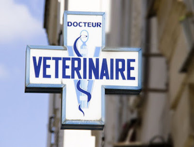 Clinique Vétérinaire des Docteurs Rancelant et Zara à Le Pontet