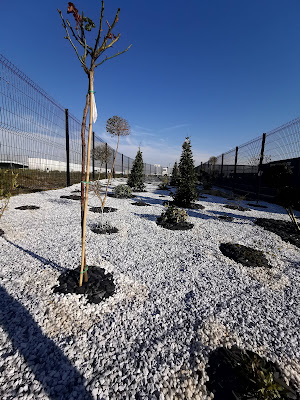 Jardinams à Dunkerque