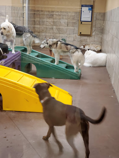 Pet Supply Store «PetSmart», reviews and photos, 315 Gellert Blvd, Daly City, CA 94015, USA