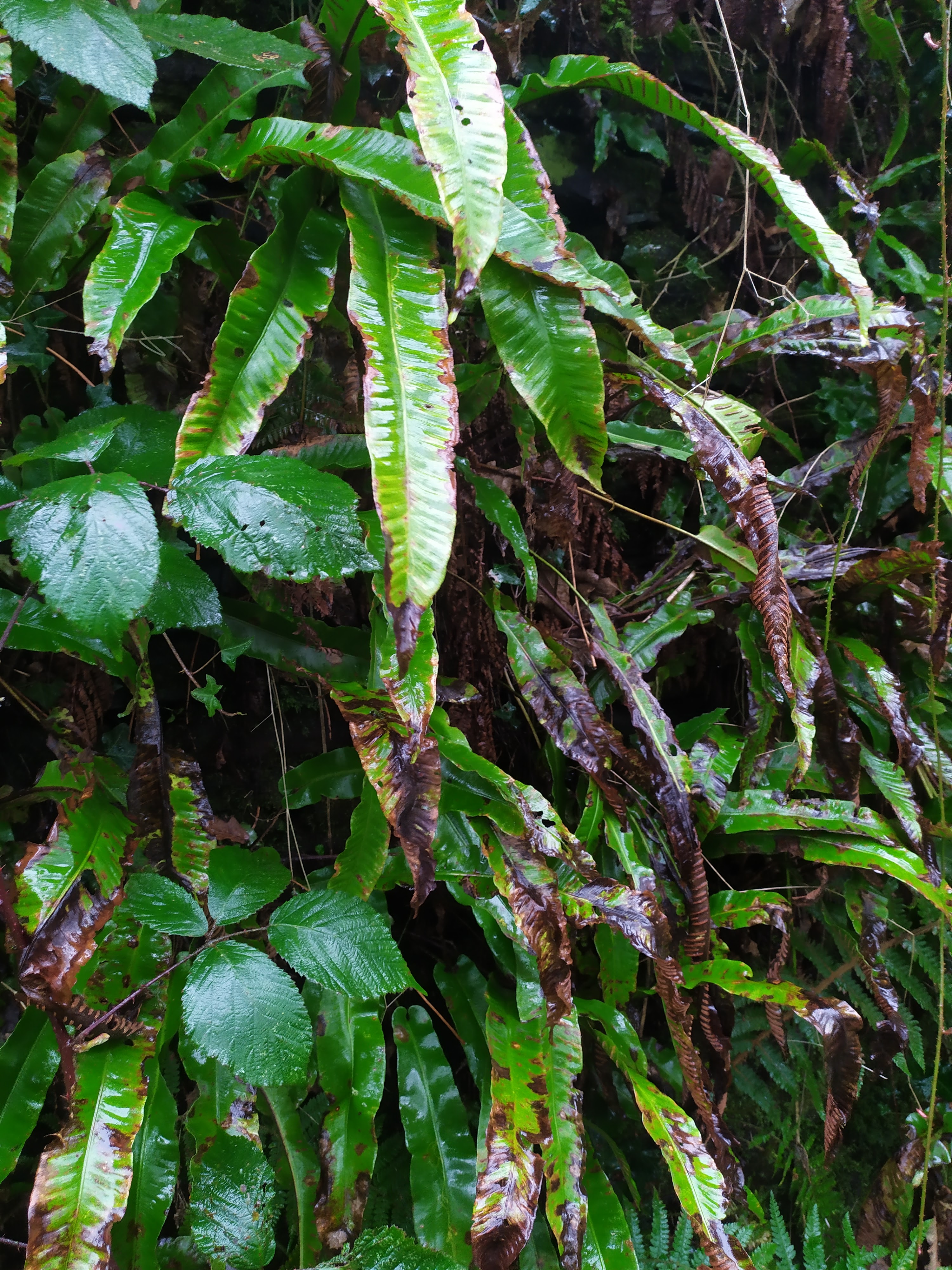 Photo n° 4 de l'avis de Céline.r fait le 20/02/2020 à 17:52