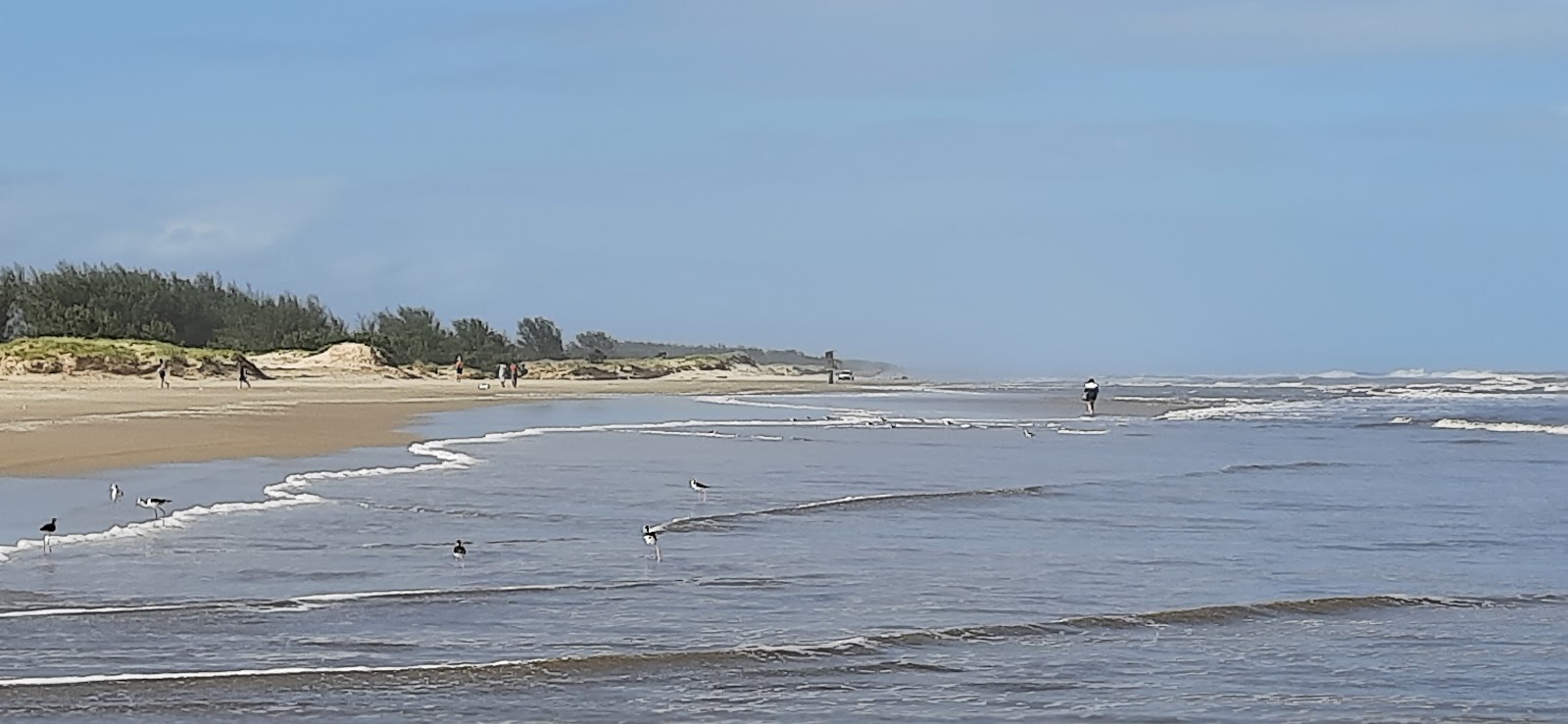 Photo of Lagoinhas Beach with long straight shore